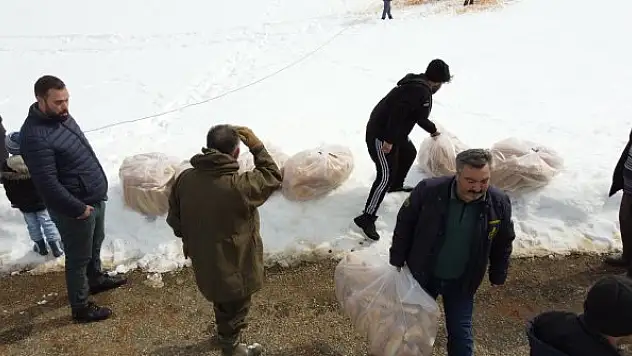 Beyşehir'de yaban hayvanları için doğaya yem bırakıldı