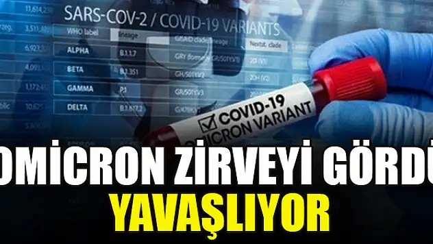 Omicron zirveyi gördü yavaşlıyor