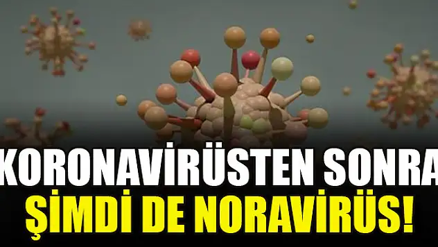Koronavirüsten sonra şimdi de noravirüs!