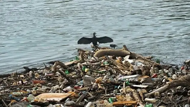 BM: Çevre kirliliği COVID-19'dan daha fazla can kaybına yol açıyor