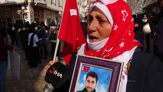 Vanlı annelerin evlat nöbeti devam ediyor