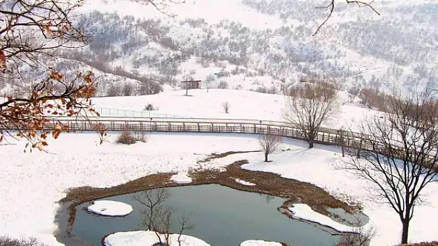Bingöl'ün yüzen adalarında kış güzelliği