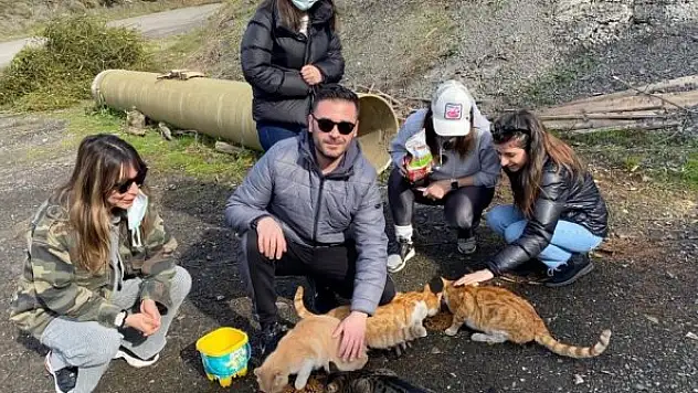 Zonguldak Barosu avukatları sokak hayvanlarını besledi