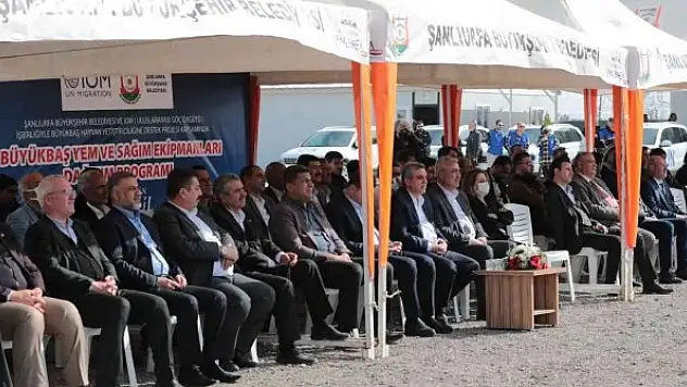 Şanlıurfa'da besicilere büyükbaş hayvan dağıtıldı