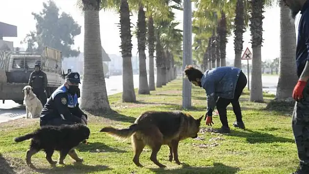 Adana'da sokak hayvanları unutulmadı
