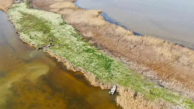 Adana'nın saklı cenneti: 'Nergis Adası'