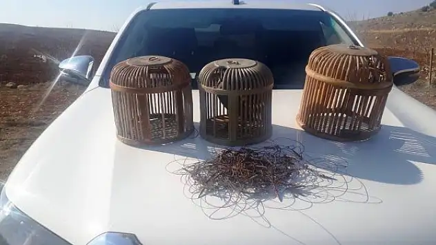 Kaçak avcılara ceza yağdı