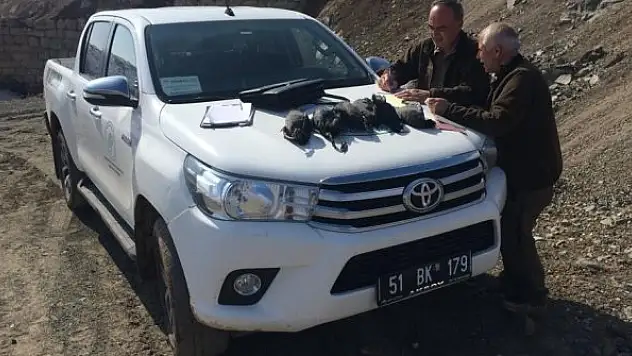 Yasadışı avlananlara ceza