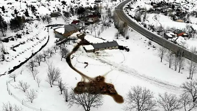 Besicilerin 'kuzu' mesaisi