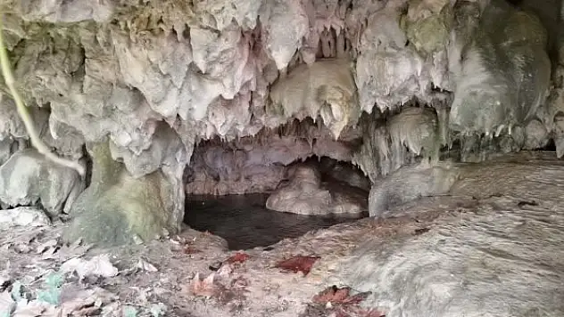 Hayvanlarını otlatırken binlerce yıllık mağarayı buldular