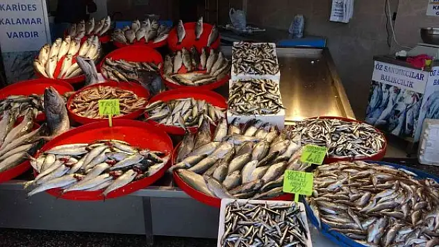 Denizden az çıkınca hamsinin fiyatı yükseldi