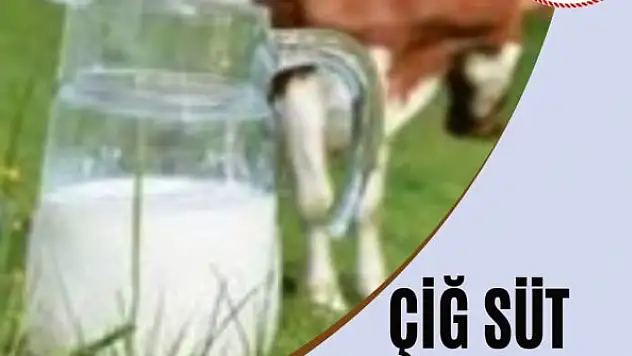 Çiğ süt destek ödemeleri başladı