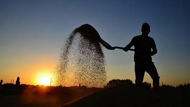 Tarımsal destek ödemeleri bugün yatırılacak