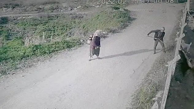 Hem kameralar hem de veteriner o anı yakaladı