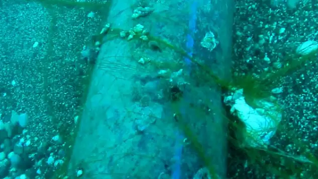 'Hayalet ağlar' sualtı hayatını tehdit ediyor