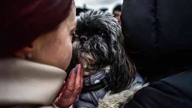 Ukraynalılar ülkelerine gözyaşları içerisinde veda etti