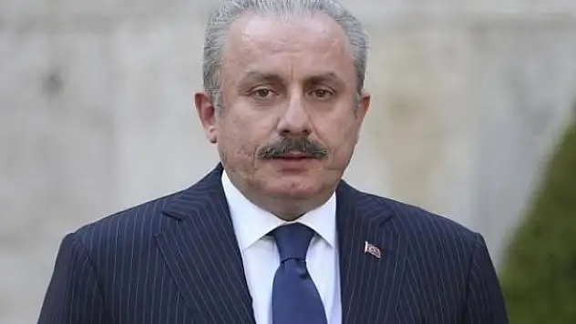 TBMM Başkanı Şentop, Rusya Devlet Duması Başkanı Volodin ile görüştü