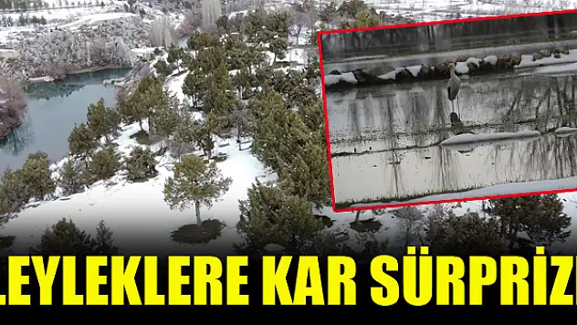 Beyşehir'e gelen leyleklere yuvalarında kar sürprizi