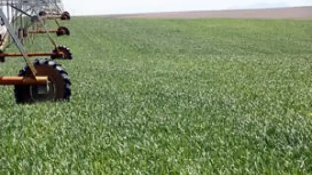 Bahar yağışları 'ovanın' ateşini düşürdü