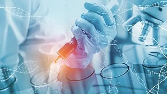 Bilim insanları farelerde doku gençleştirmeyi başardı