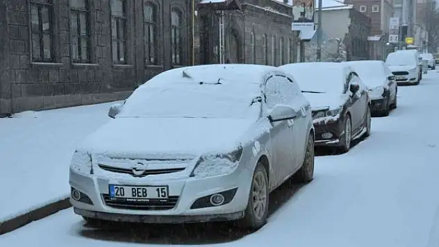 Kars'ta kar yağışı etkili oluyor