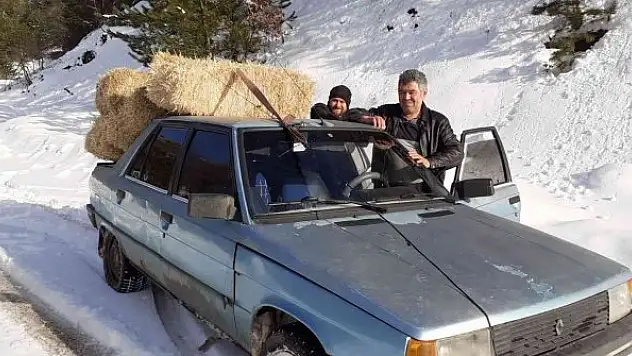 Yılkı atlarına otomobiliyle saman taşıdı