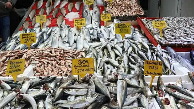 Balık fiyatları arttı