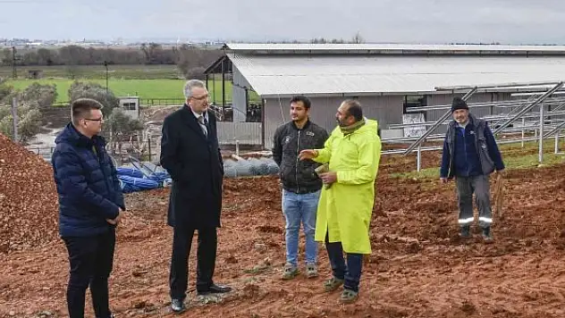 Yenilenebilir enerji yatırımı