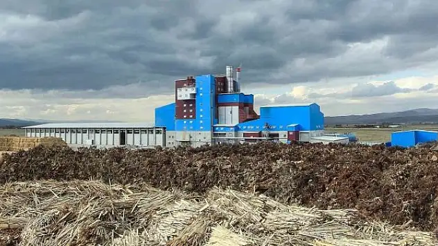 Enerjide biyokütle avantajı