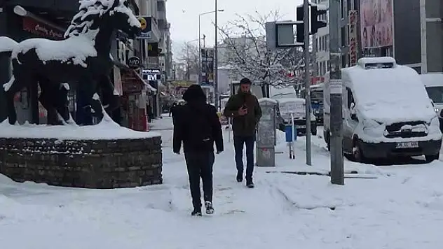 Kars'ta kar yağışı sürüyor
