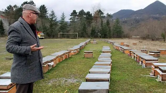 'Tarımda rekolte ve randıman için arıcılık desteklenmeli'