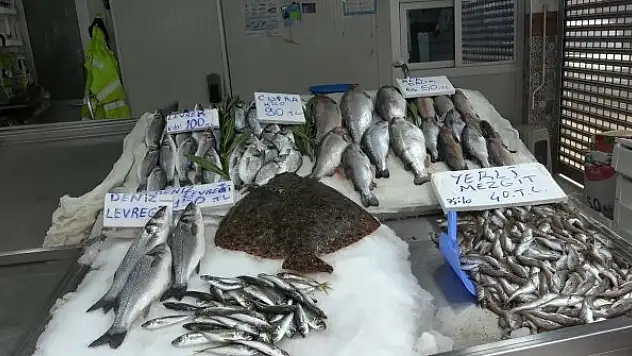 Karadeniz'de balık azlığı, tezgâhlara yansıdı