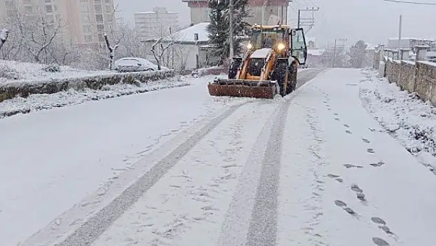 Ordu'da karla mücadele sürüyor