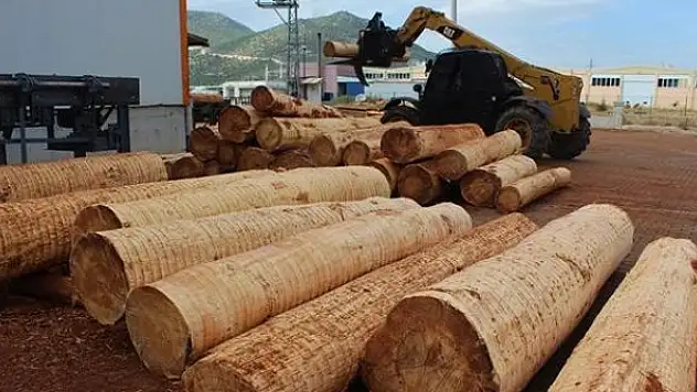 Bazı kereste ürünlerinin ihracatına sınırlama
