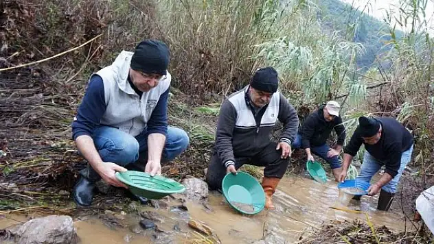 Buz gibi suda altın avı