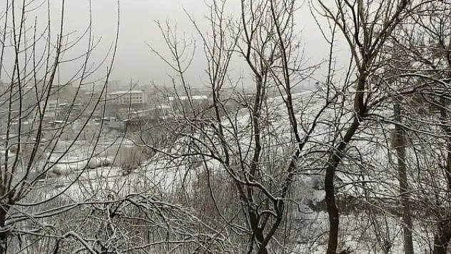 Silvan'da kar yağışı hayatı olumsuz etkiledi