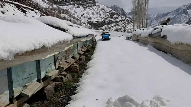 Yalancı bahar bal arılarını vurdu