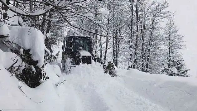 Doğu Karadeniz'de kış