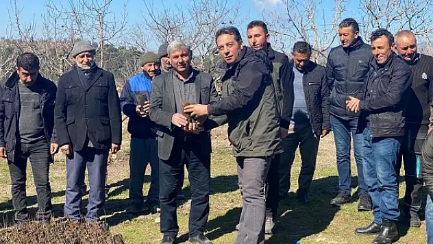 Antep fıstıkları ormanla buluştu