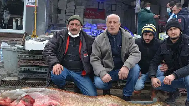 Dev yayın balığı görenleri hayrete düşürdü