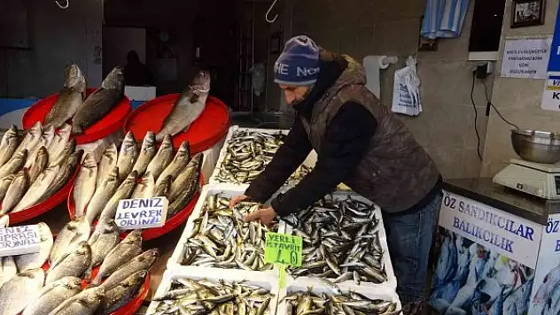 Bir haftadır etkili olan kar yağışı tezgahlarda balık fiyatlarını uçurdu