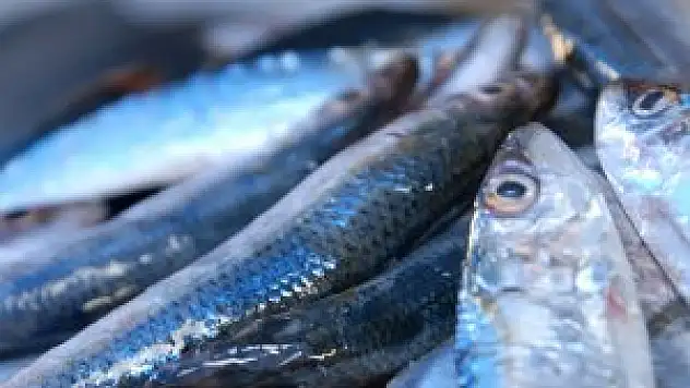 'İftarda balıktan vazgeçmeyin'