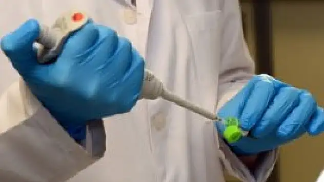 İzmirli bilim insanları gen keşfetti