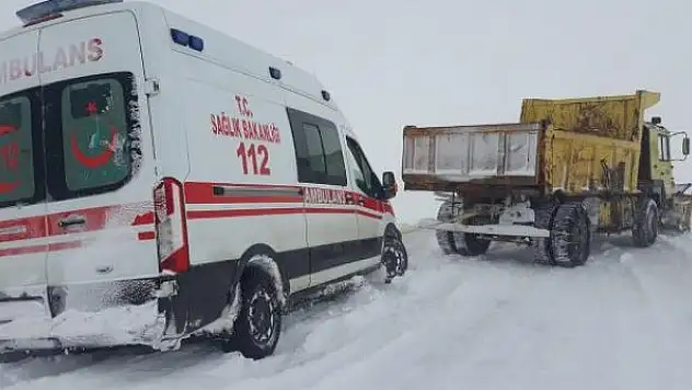 Ardahan'da tipi: Yolda kalan 52 araç kurtarıldı