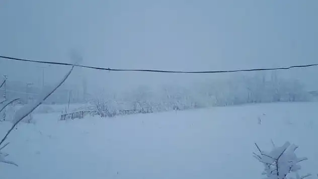 Tuzluca'da kar yağışı etkili oluyor