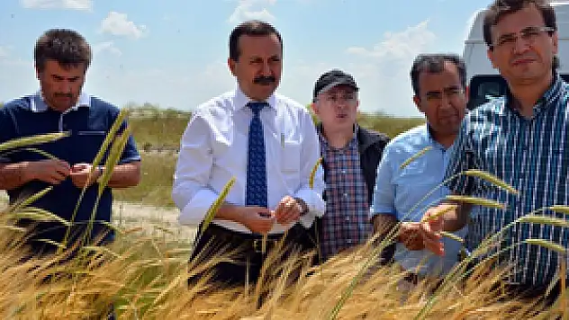 Rektör Gökbel uygulama çiftliklerinde incelemelerde bulundu