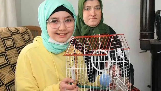 Belediyeden muhabbet kuşu istedi