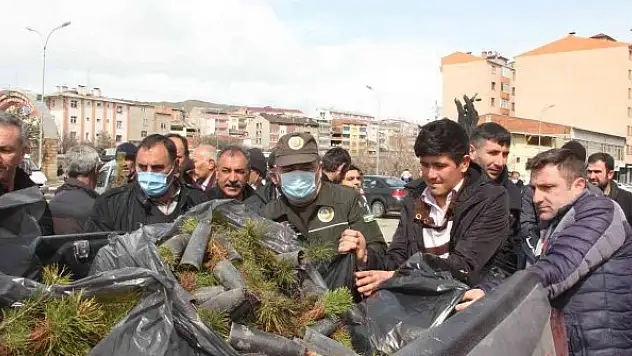 Fidan dağıtımında izdiham yaşandı