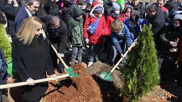 Yanan sahaların yüzde 75'inde çalışmalar tamamlandı