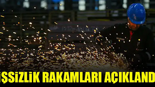 İşsizlik rakamları açıklandı